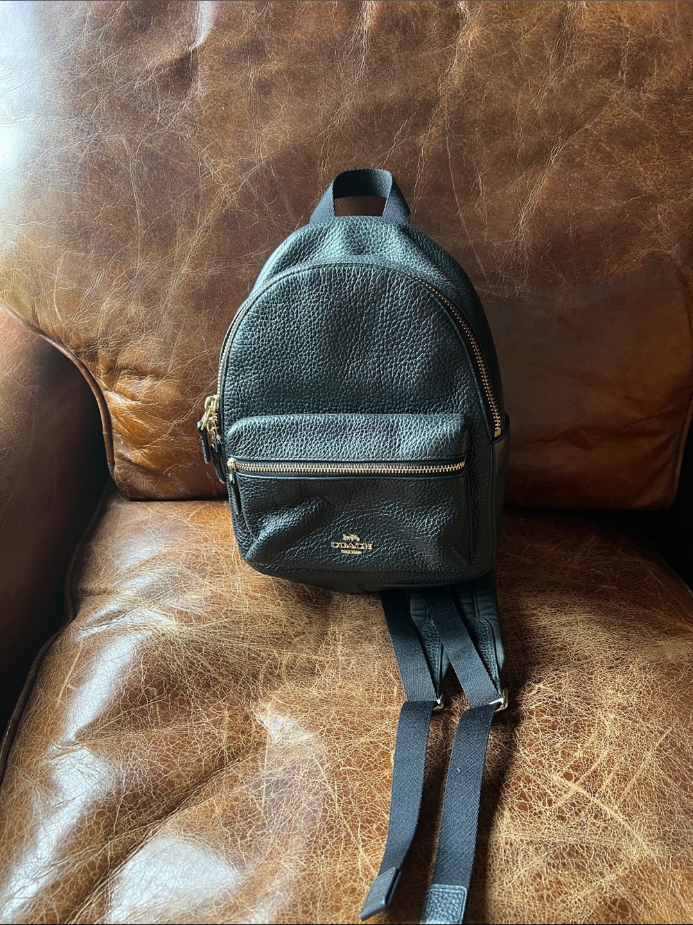Coach Mini Charlie Backpack in Black